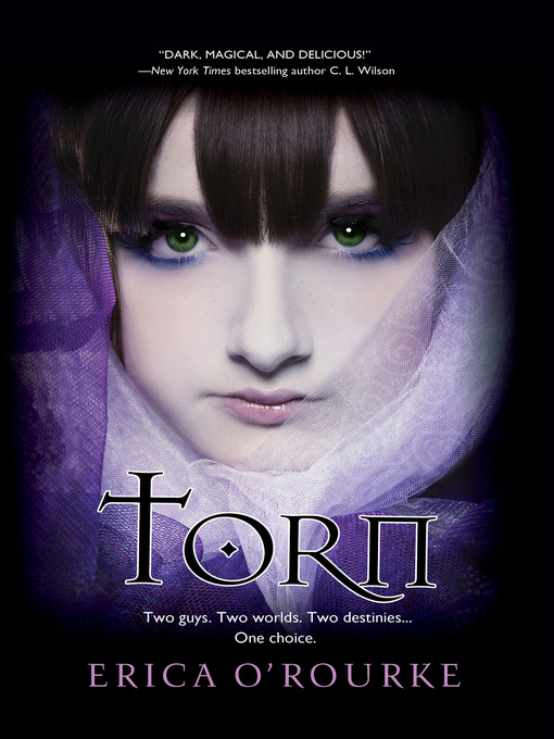 Title details for Torn by Erica O'Rourke - Available